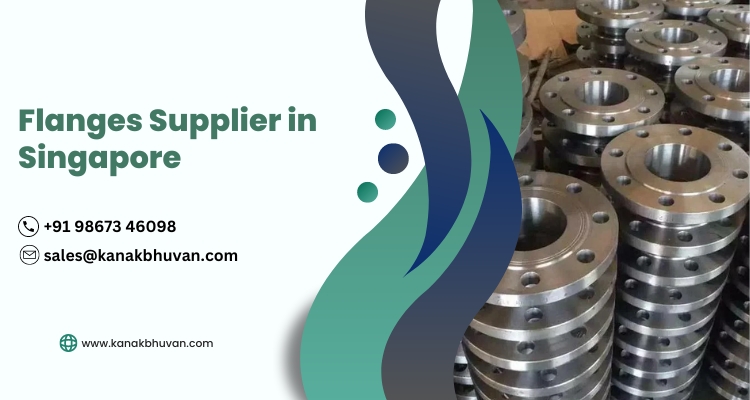 Flange Supplier in Singapore