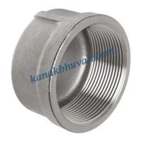 Forged End Cap Fittings Suppliers in India